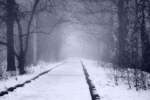 巨星告别!2026世界杯,梅西C罗的最后一舞